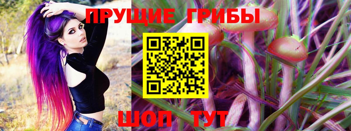 Псилоцибиновые грибы ЛСД Чайковский
